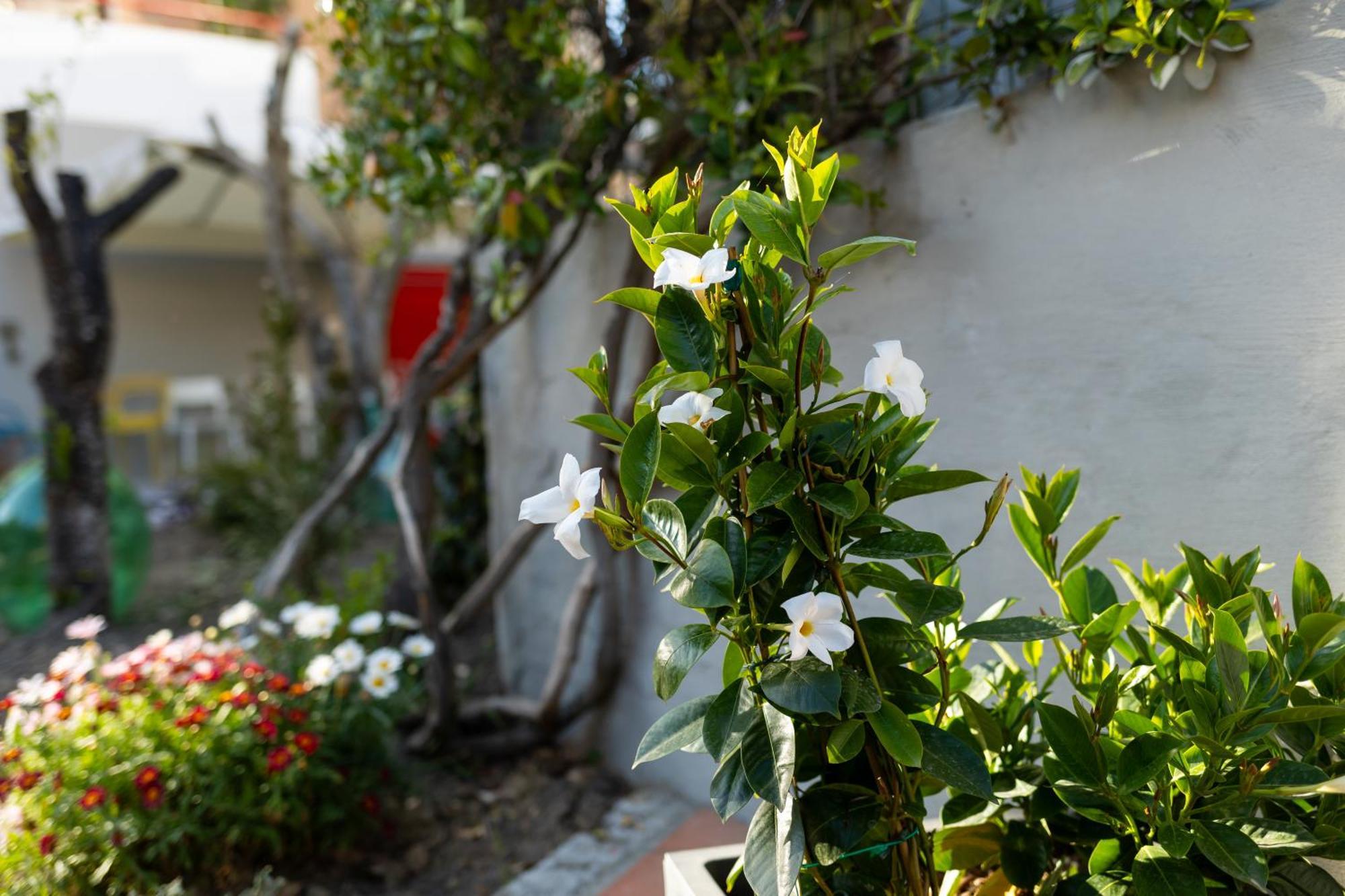 B&B Casa Gagliardi Ματέρα Εξωτερικό φωτογραφία
